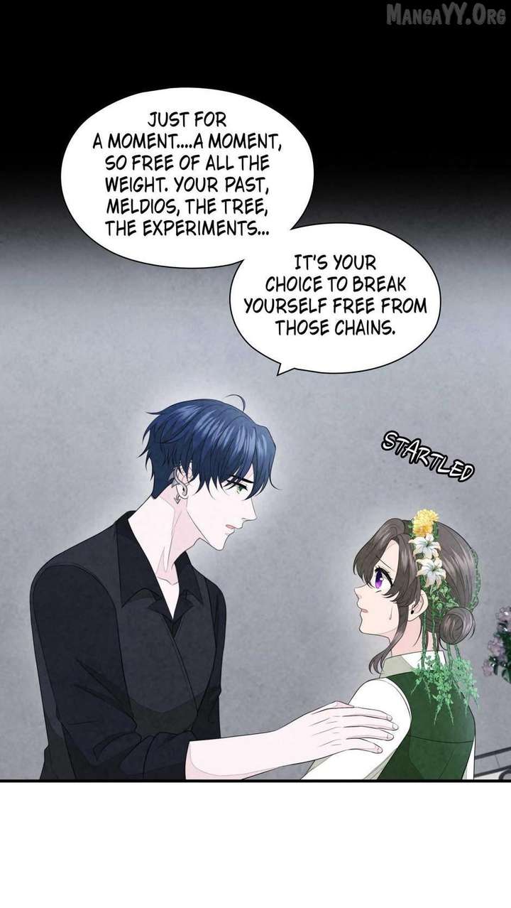 The Wizard and The Tree Chapter 65 237 14