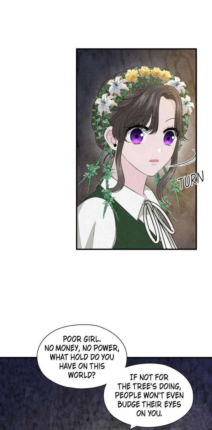 The Wizard and The Tree Chapter 65 286 63