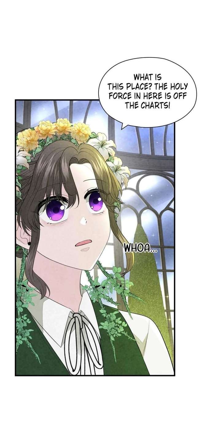 The Wizard and The Tree Chapter 66 248 013