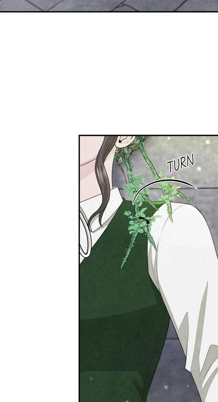 The Wizard and The Tree Chapter 66 255 020