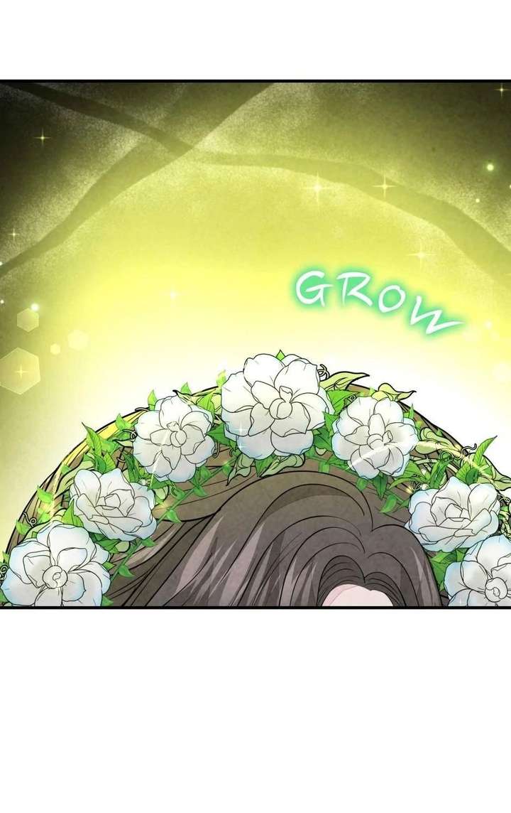 The Wizard and The Tree Chapter 66 259 024