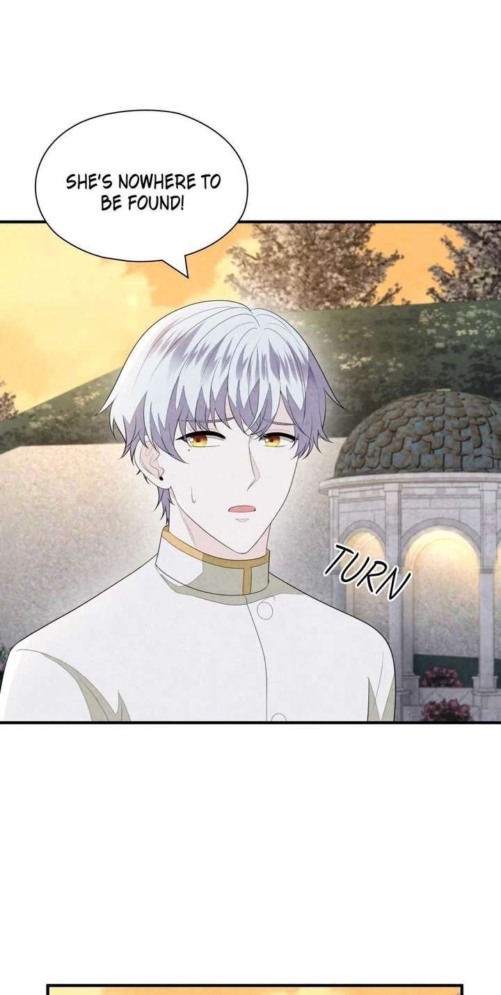 The Wizard and The Tree Chapter 66 264 029