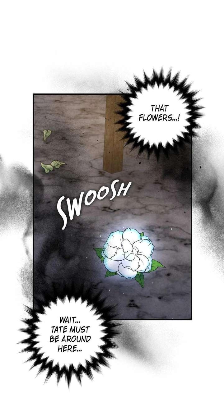 The Wizard and The Tree Chapter 66 288 053