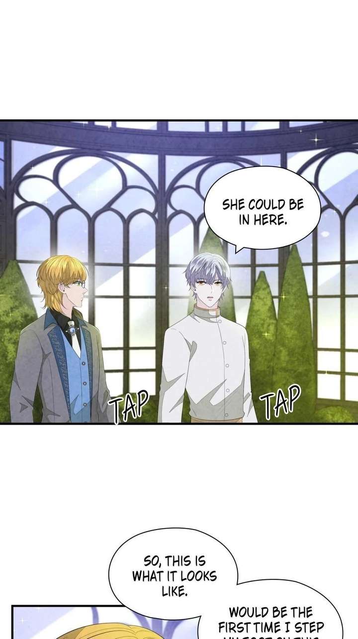 The Wizard and The Tree Chapter 67 282 038