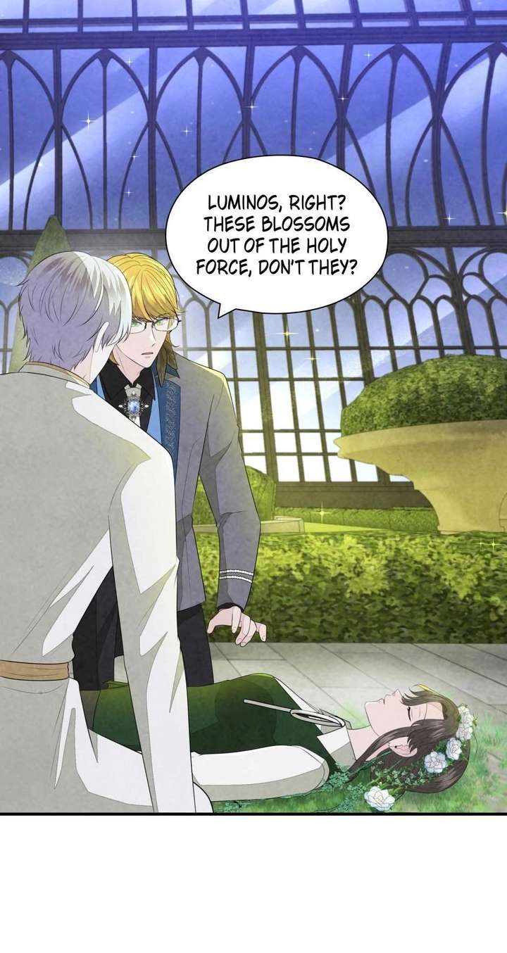 The Wizard and The Tree Chapter 67 287 043