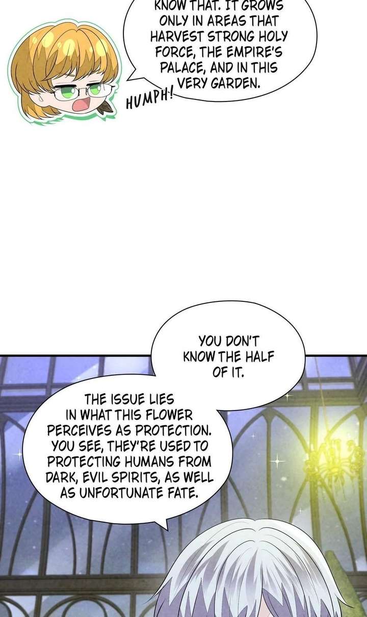The Wizard and The Tree Chapter 67 289 045