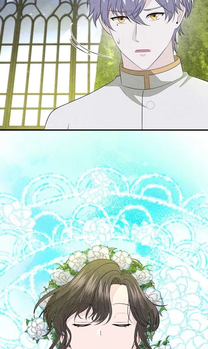 The Wizard and The Tree Chapter 67 290 046