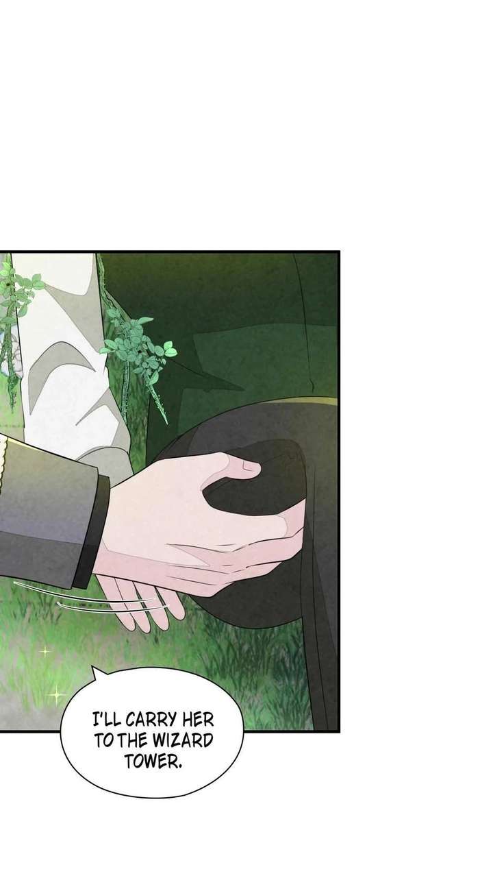 The Wizard and The Tree Chapter 67 299 055