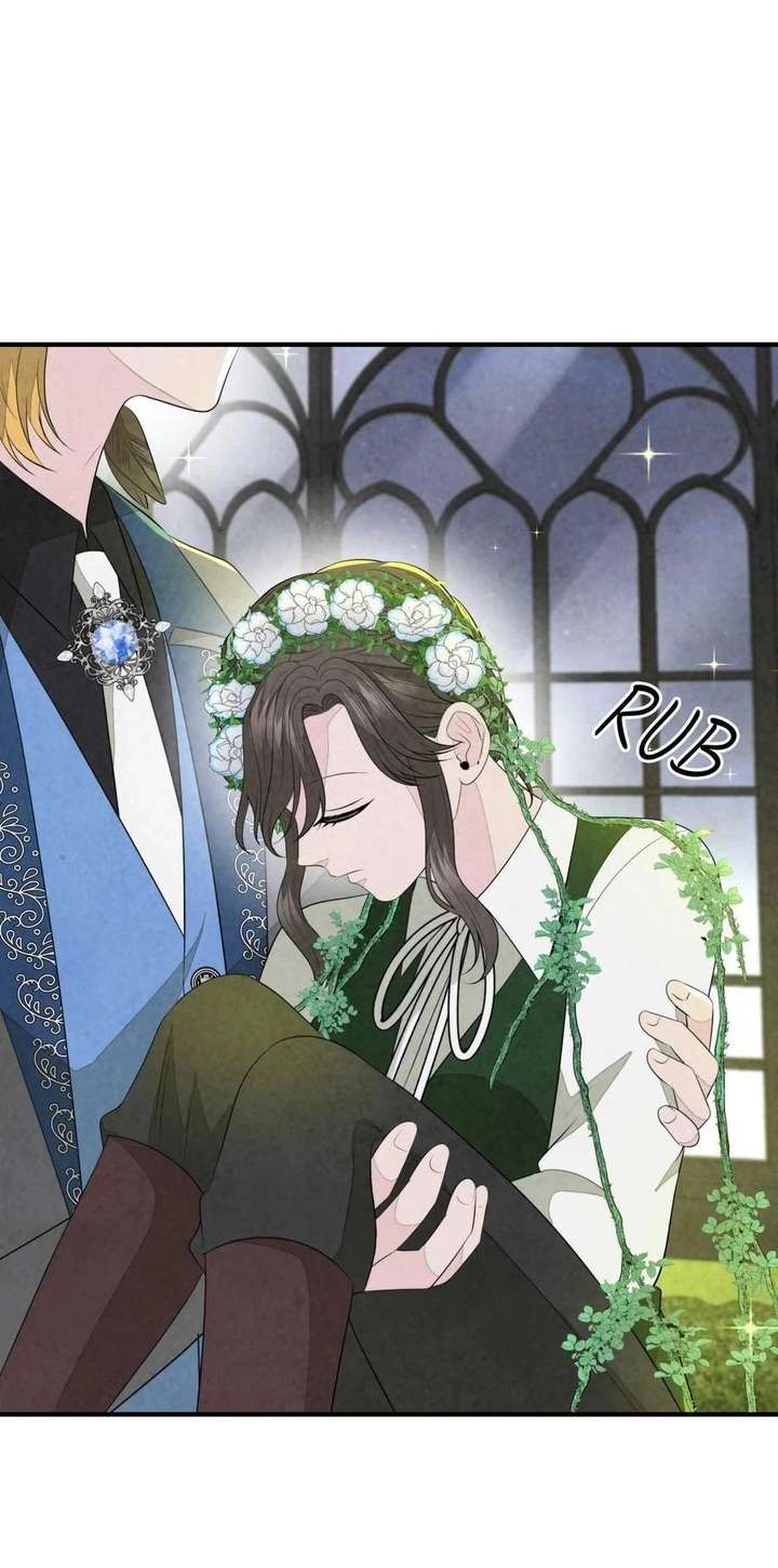 The Wizard and The Tree Chapter 67 308 064