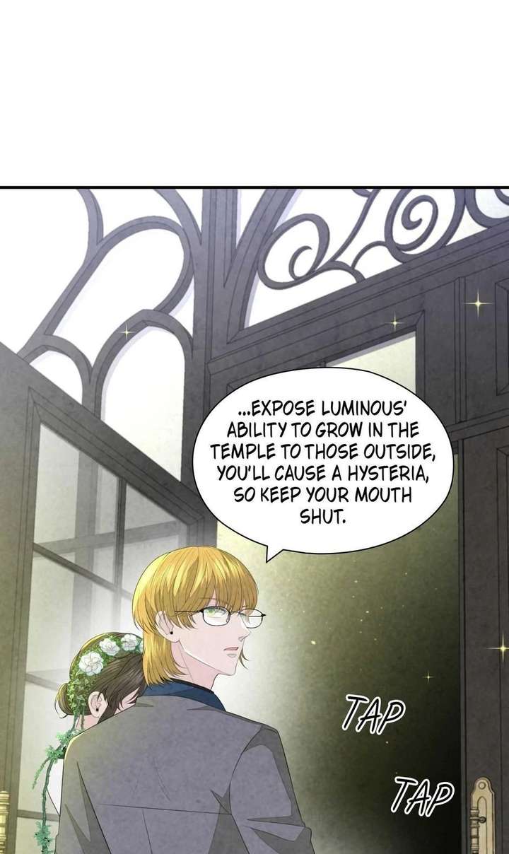 The Wizard and The Tree Chapter 67 309 065