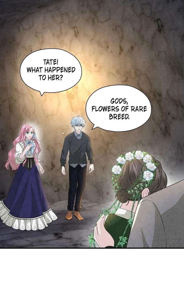 The Wizard and The Tree Chapter 67 312 068