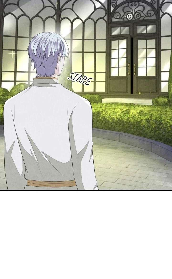 The Wizard and The Tree Chapter 67 315 071