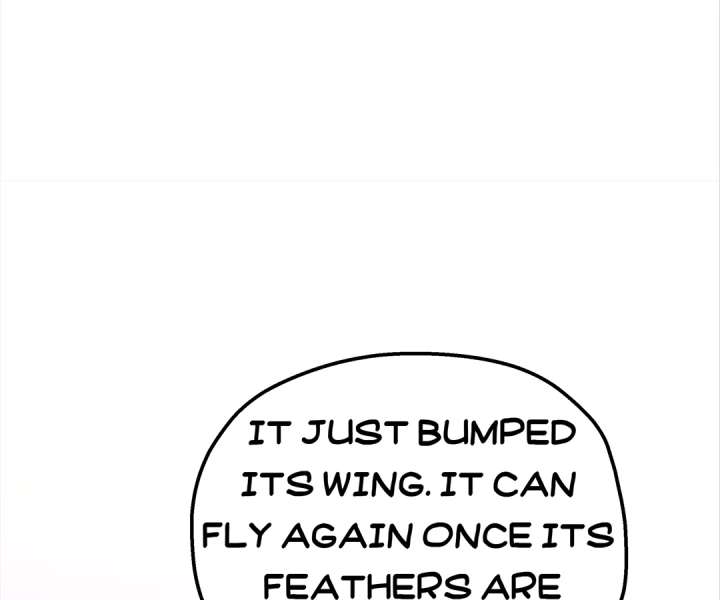 ch 41 14