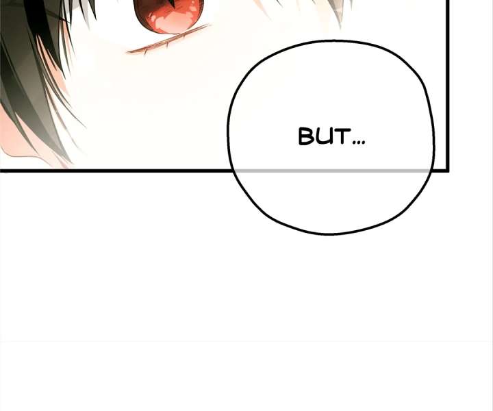 ch 41 26