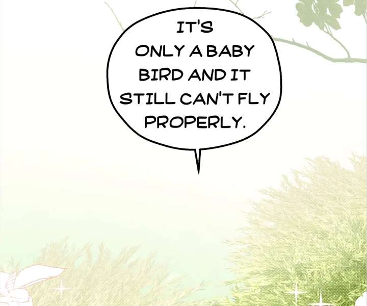 ch 41 39