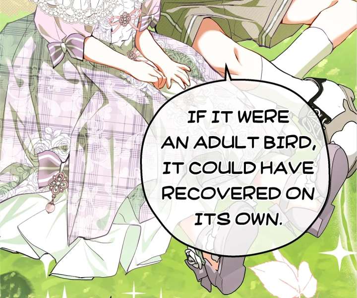 ch 41 41