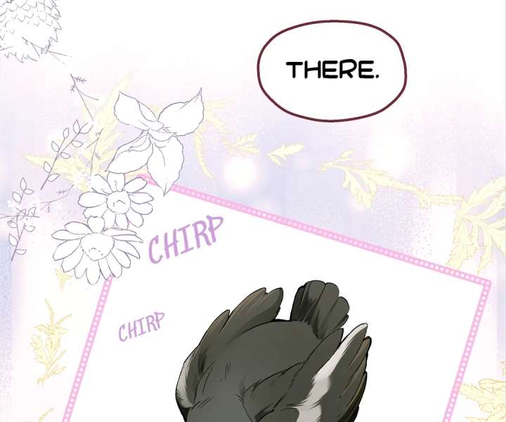 ch 41 43