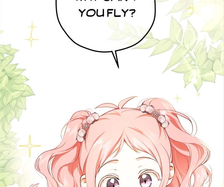 ch 41 6