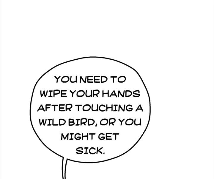 ch 41 66