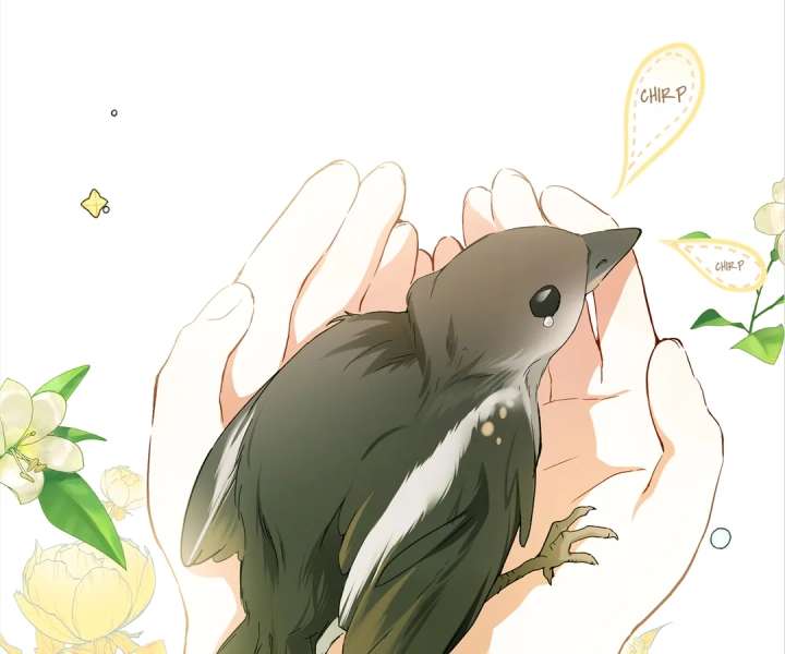 ch 41 9