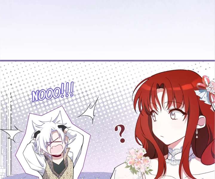 ch 42 81