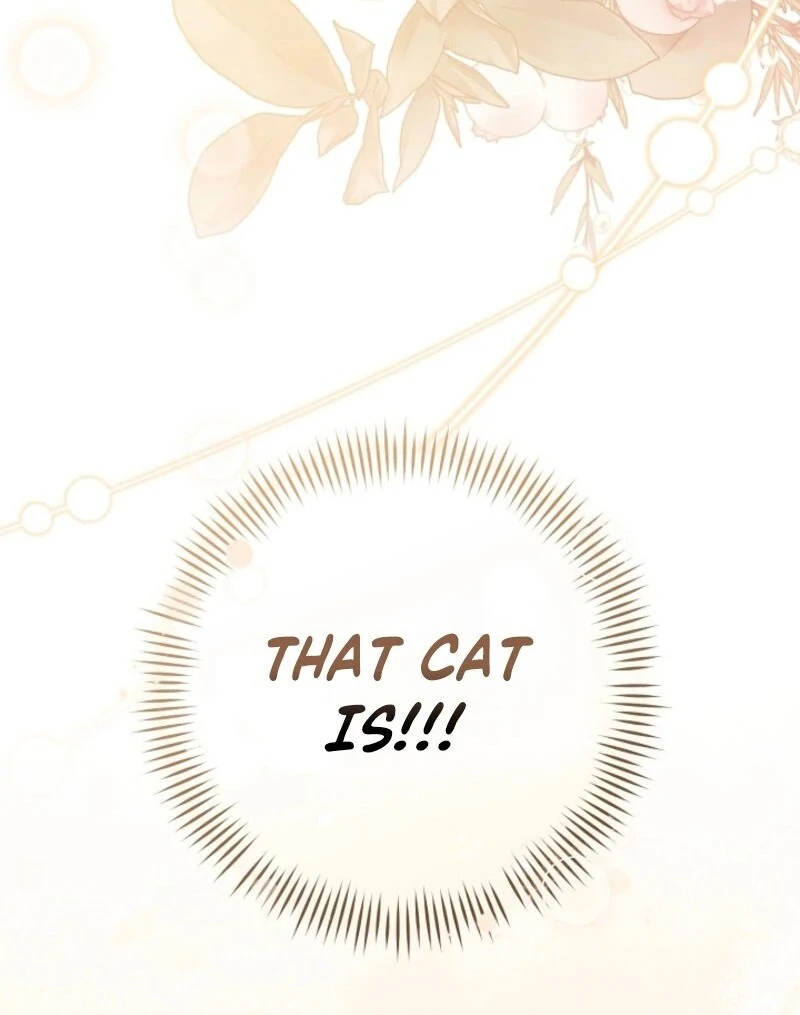 My Dream is to Get My Own House Chapter 37 558 137