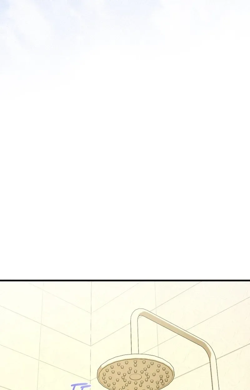 c384d8cfcb5b