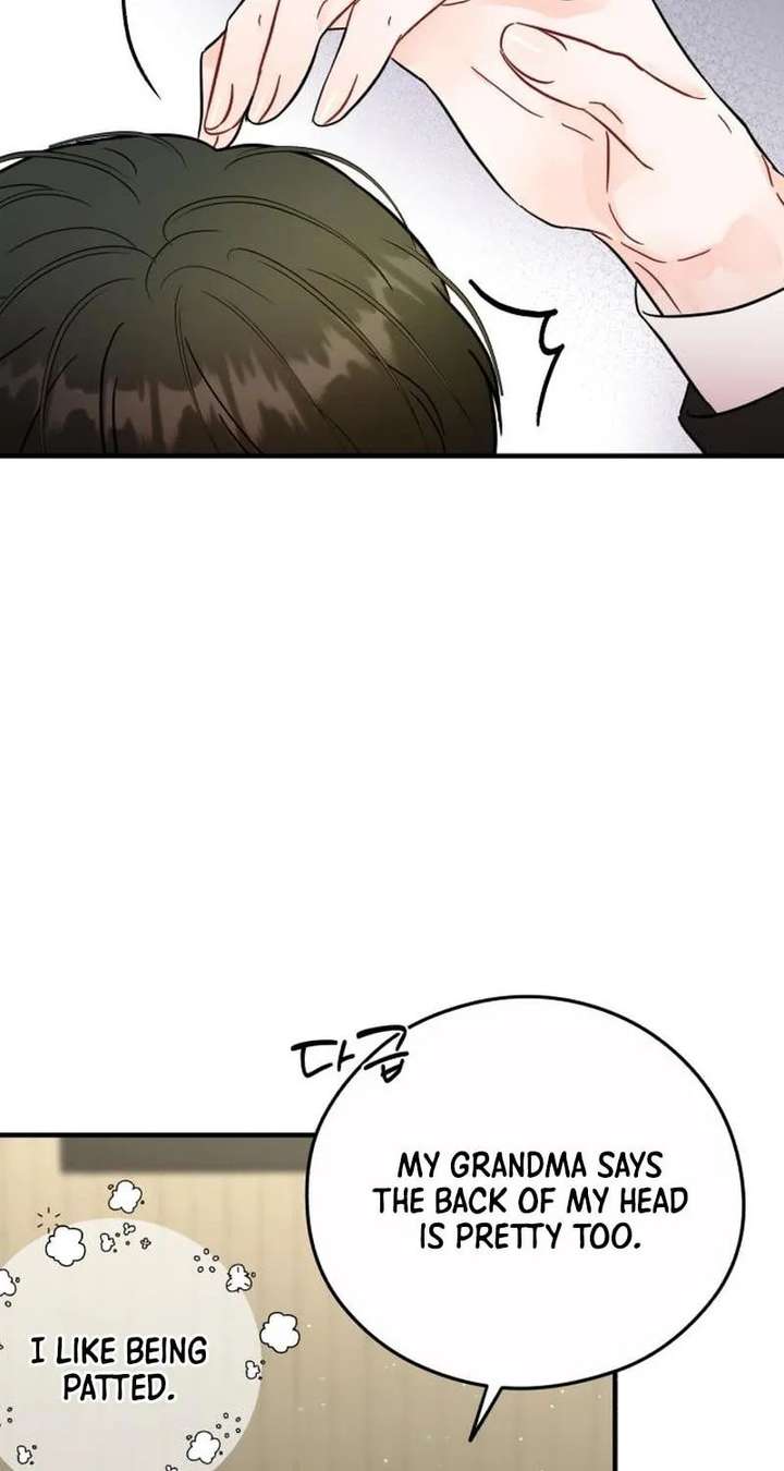 ch 36 65