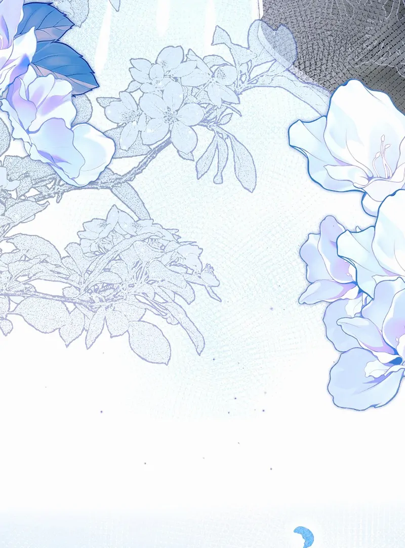 ch 11 125