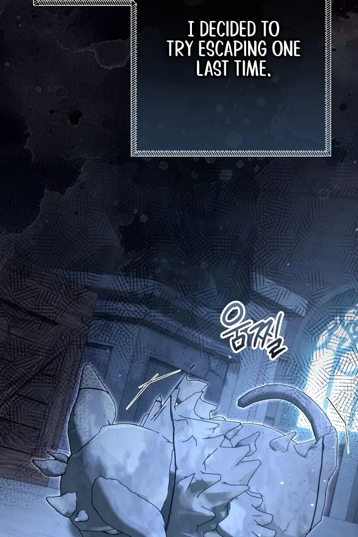 ch 26 20