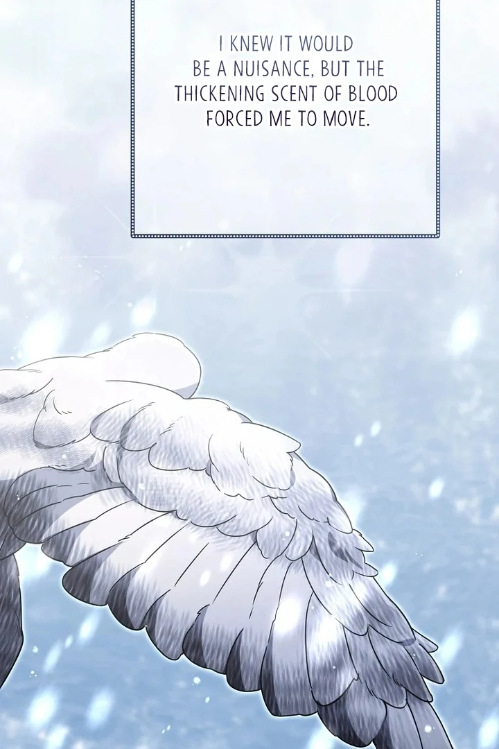 ch 33 31