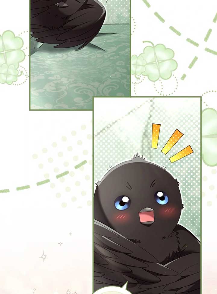 ch 4 35