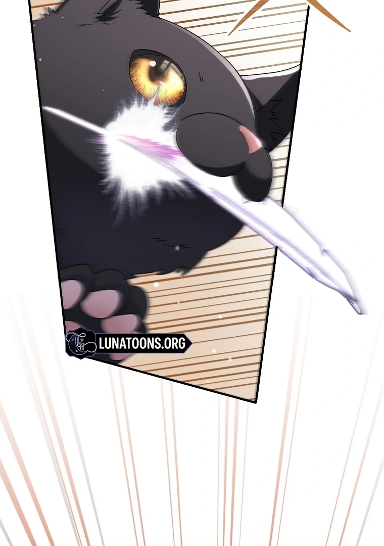 117