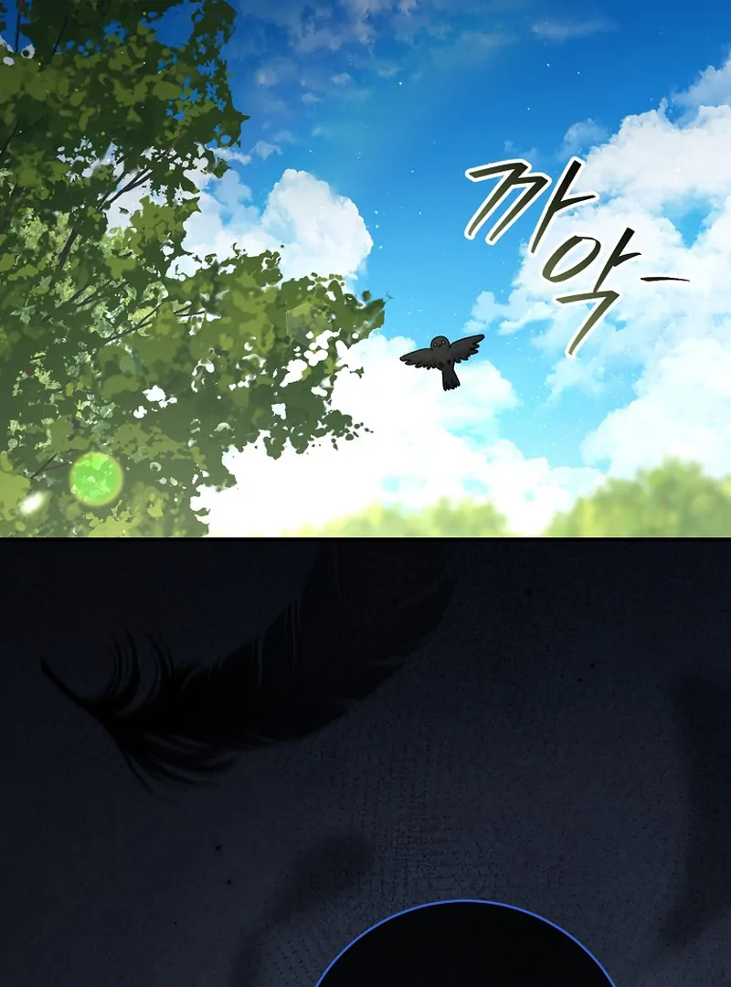 ch 5 46