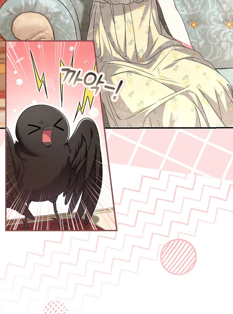 ch 5 97