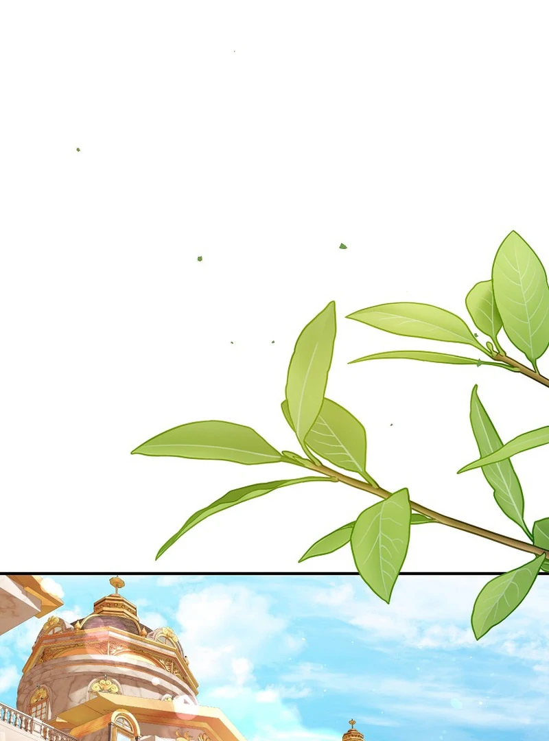 ch 6 3