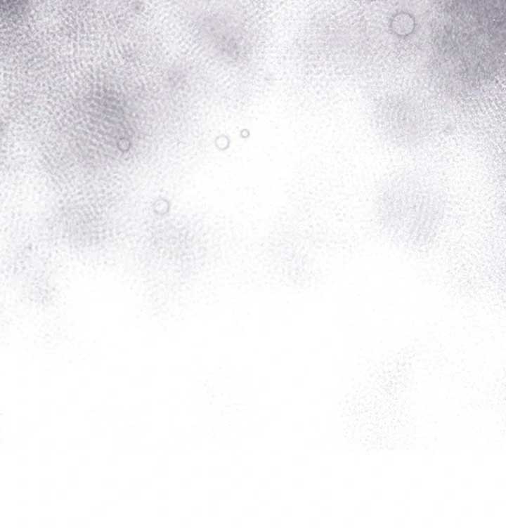 ch 15 145