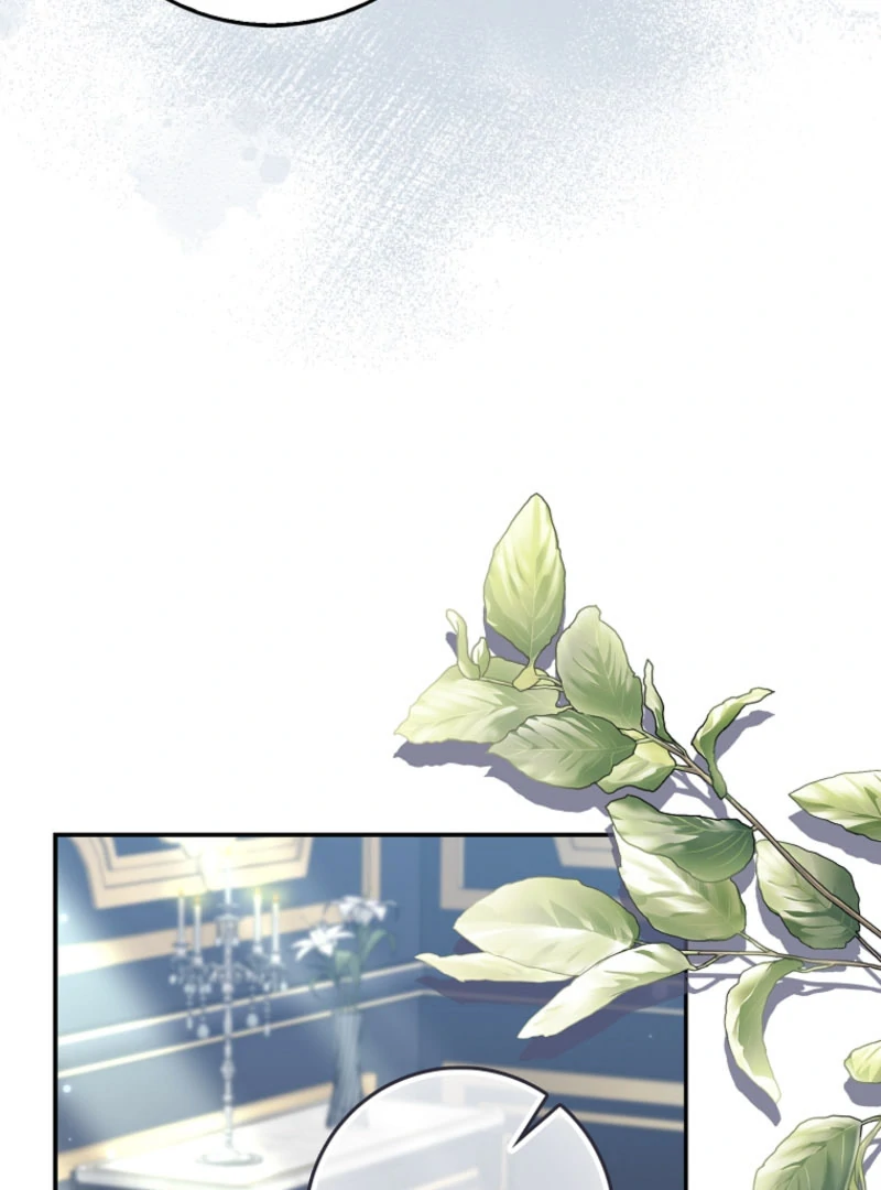 Picking Up a Suspicious Husband Chapter 29 373 ch 29 15