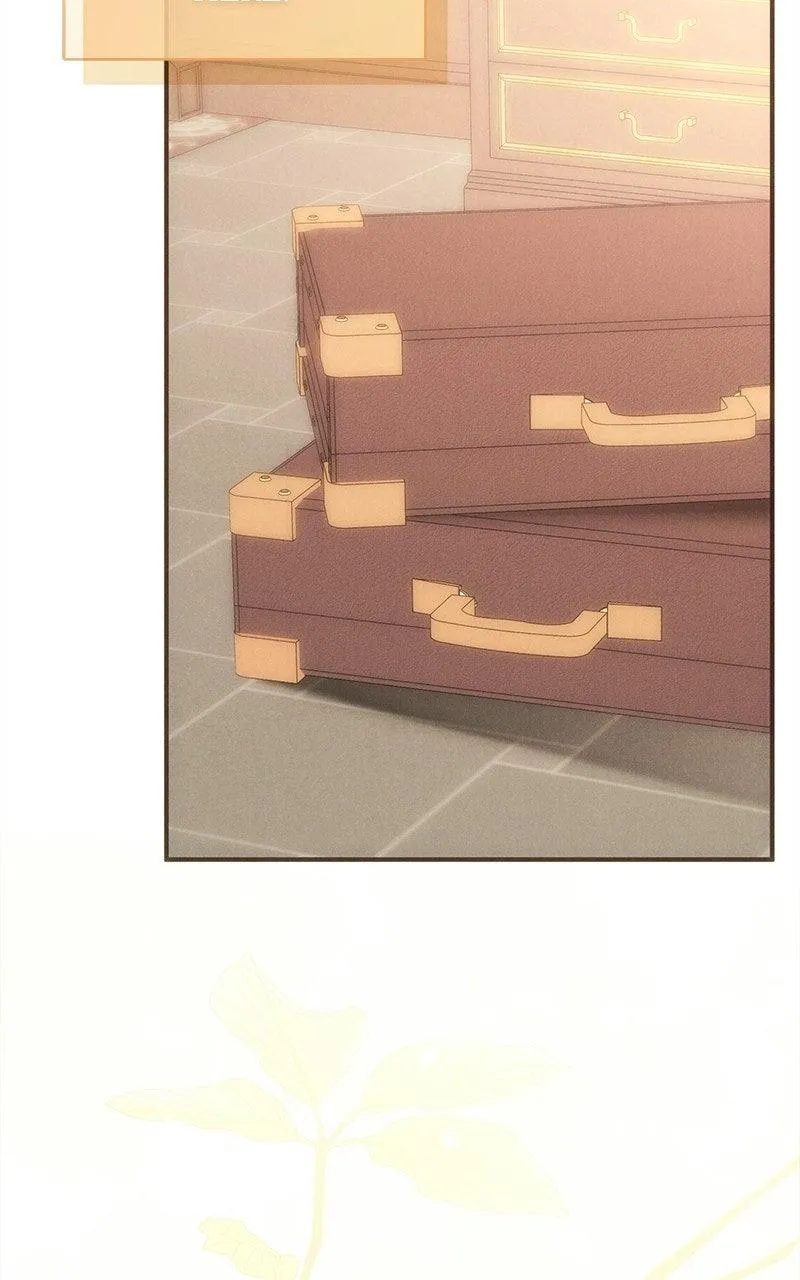 8521ba27b1b5