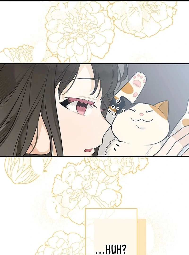 ch 1 8