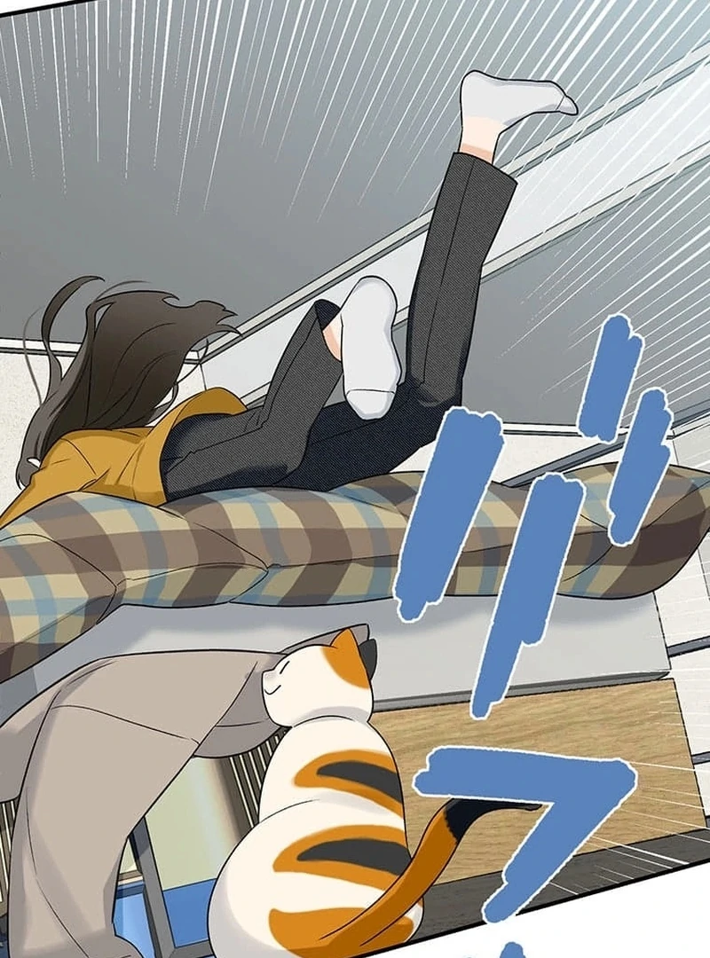 ch 1 97
