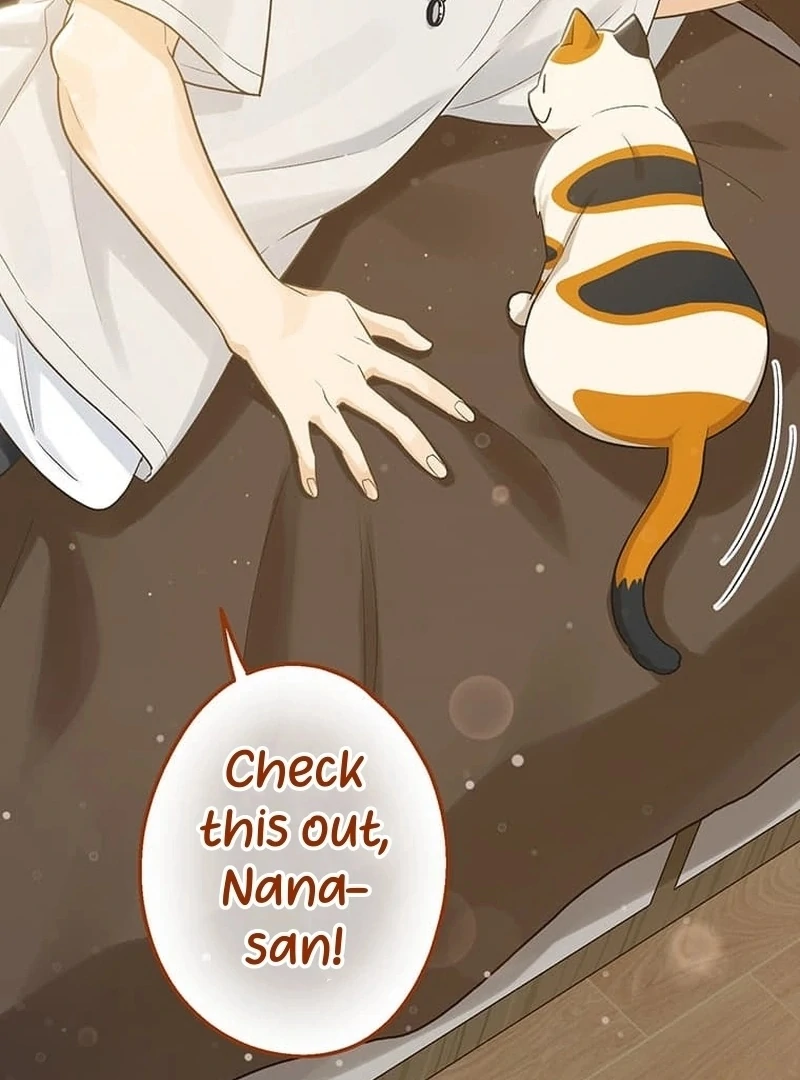 ch 11 104