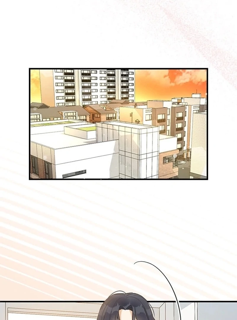 ch 11 95