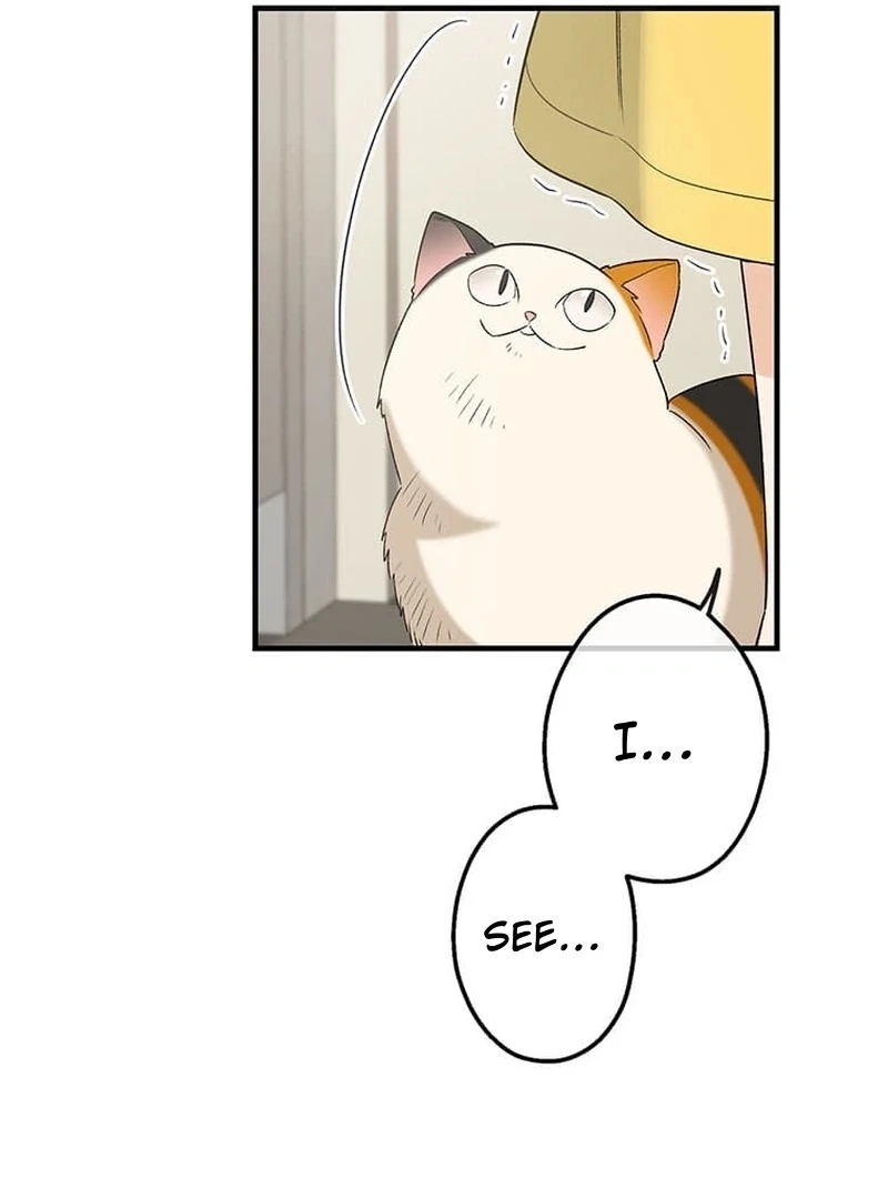 ch 12 77