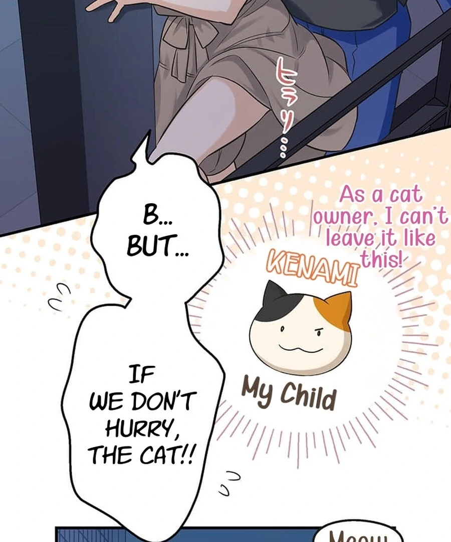 ch 15 81