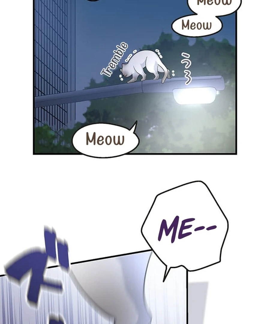 ch 15 82