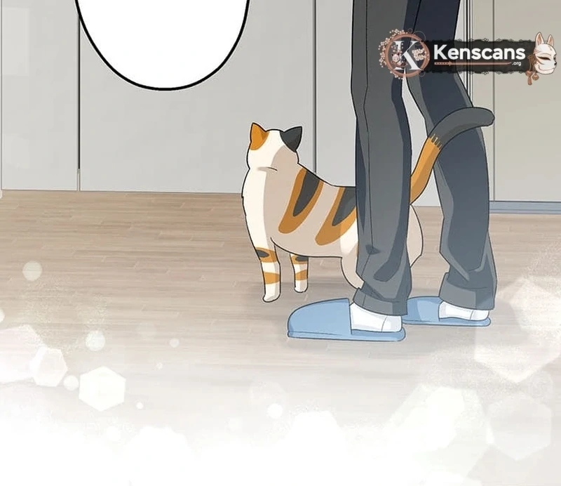 ch 4 6