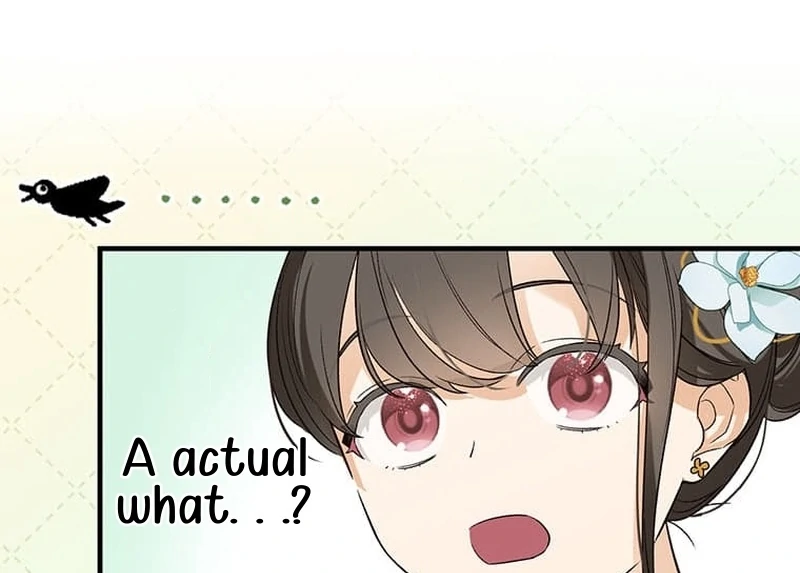ch 7 17