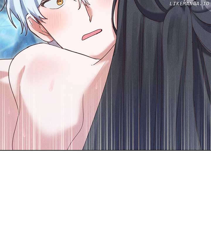 ch 19 11