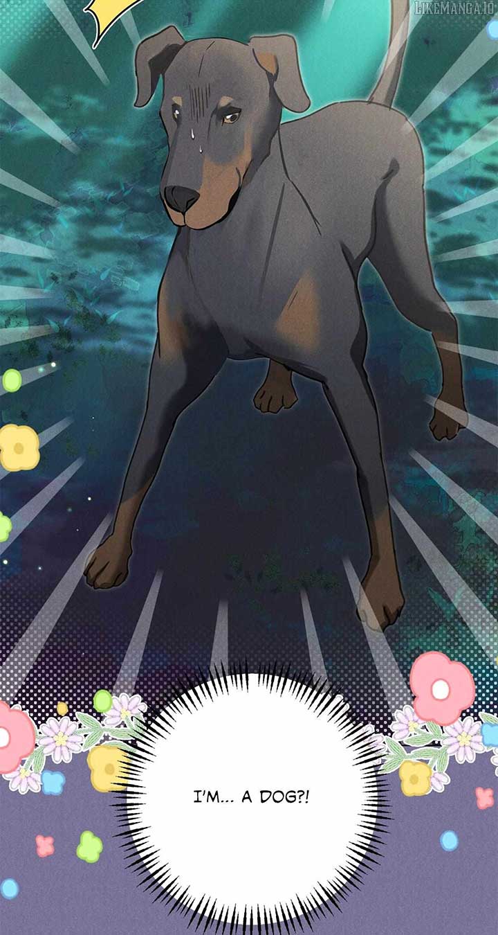 I Caught the Male Lead on a Deserted Island Chapter 27 309 18